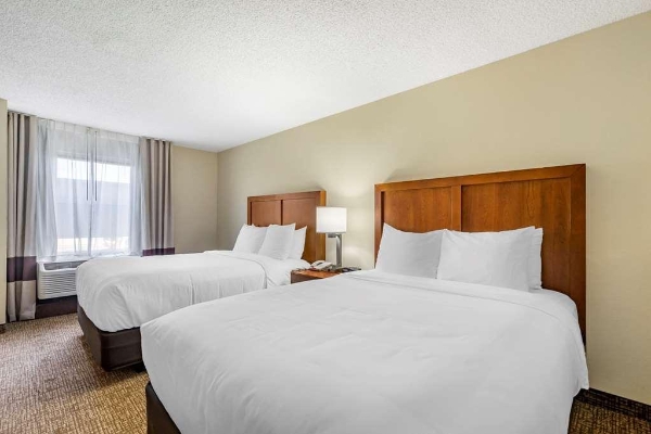 Comfort Inn and Suites St Pete - Clearwa (Clearwater)